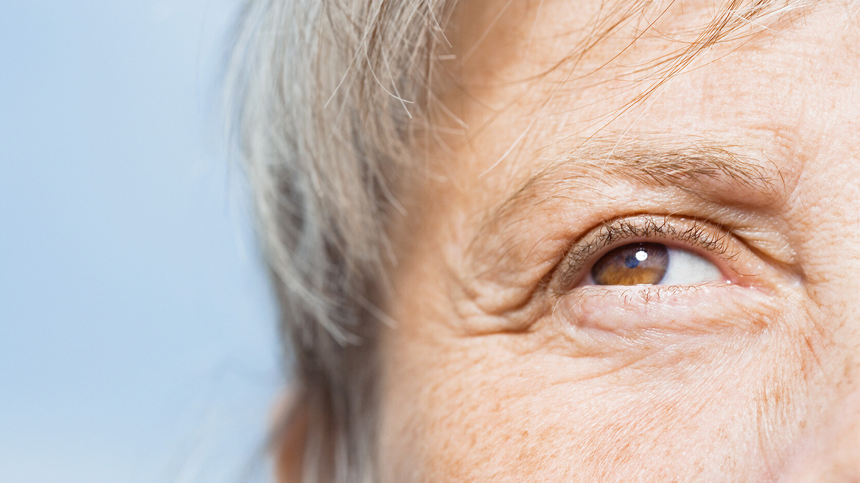 Augenkrankheit AMD: Symptome und Therapie