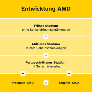 Grafik mit Frühes Stadium AMD/ ohne Seheinschränkungen bis fortgeschrittenes Stadium mit Sehverlust