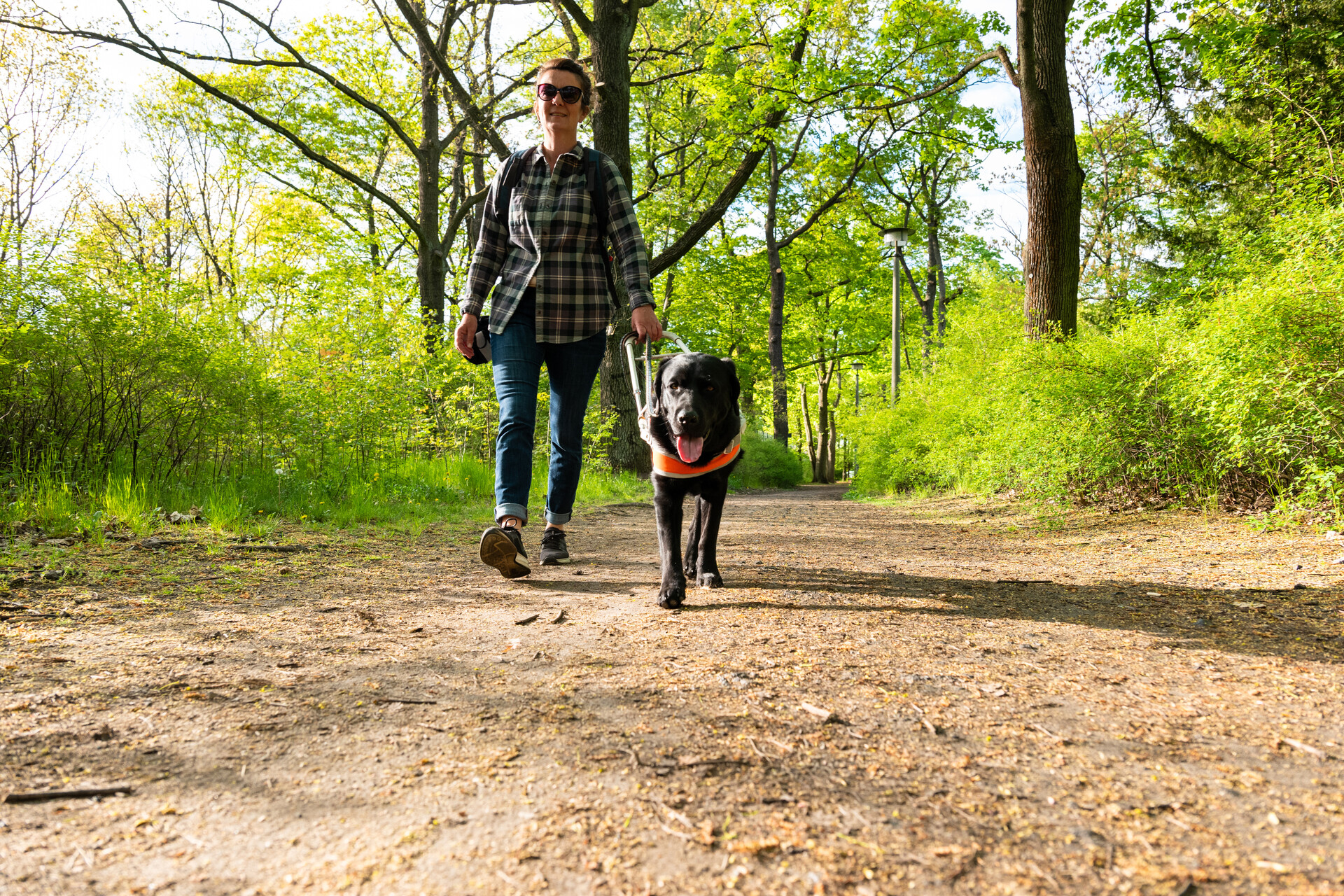 Frau mit Blindenhund im Wald