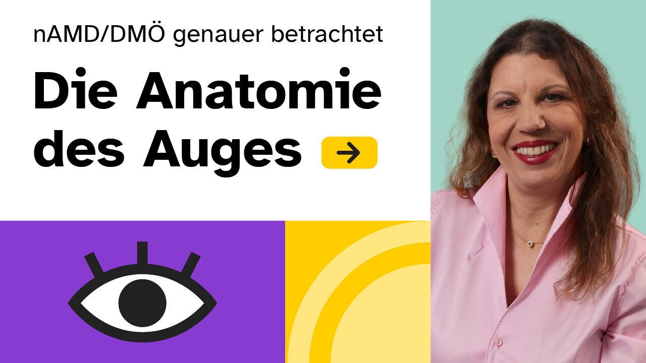 Thumbnail Video Anatomie des Auges 